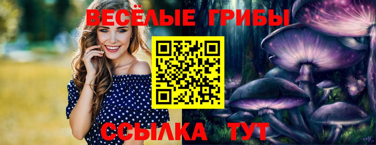 Галлюциногенные грибы ЛСД  как найти закладки  Мурино  Вход с VPN 